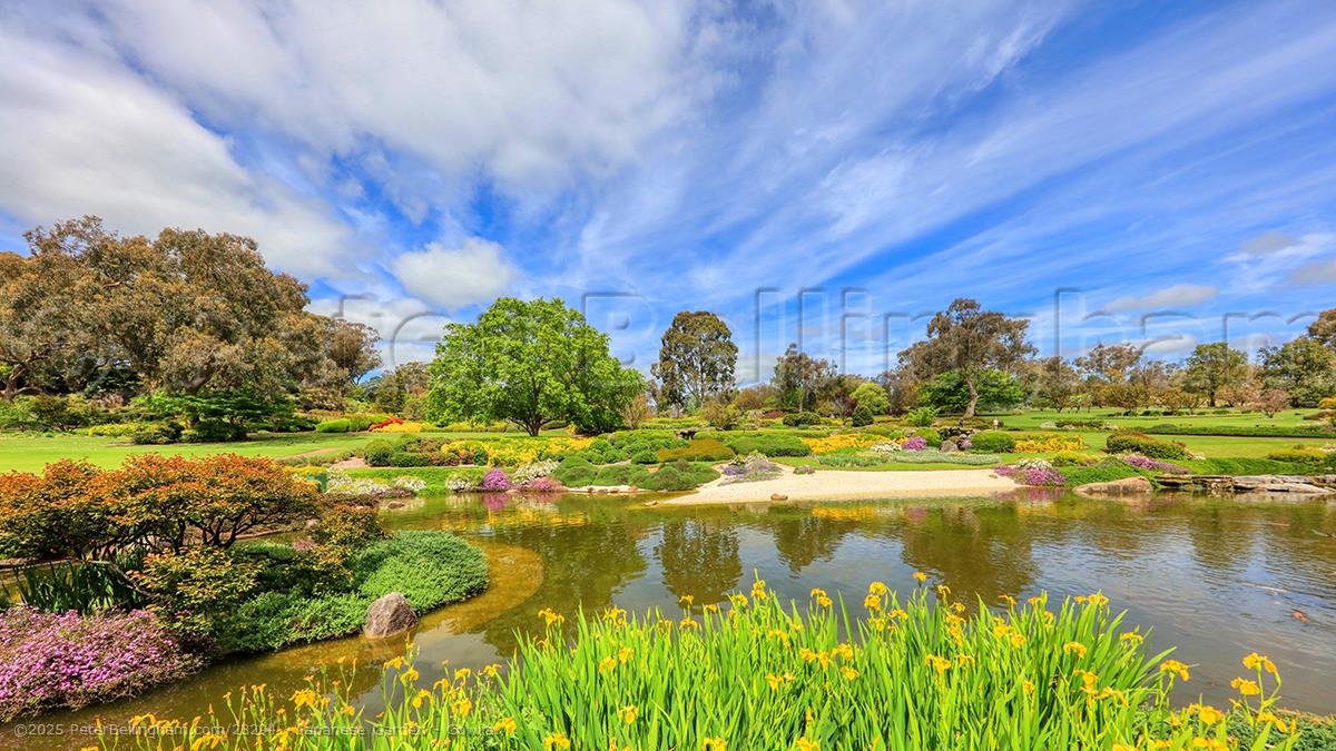 Peter Bellingham Photography Japanese Garden - Cowra